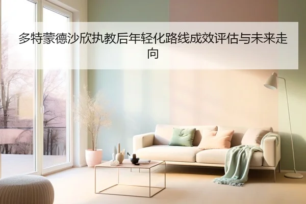多特蒙德沙欣执教后年轻化路线成效评估与未来走向